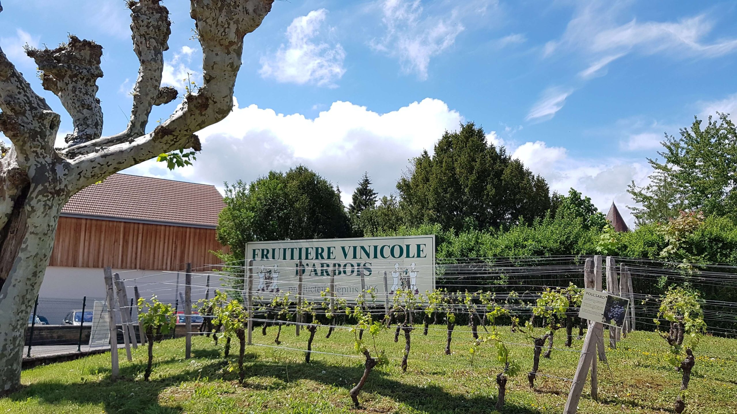 Fruitière-vinicole-Arbois-Jura